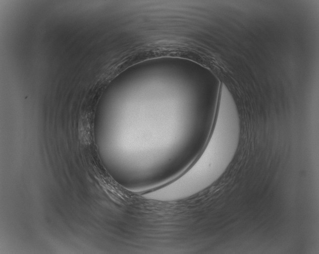 X0000081460868200701121039