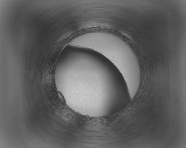 X0000081460869200701121039