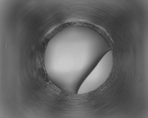 X0000081460871200701121039