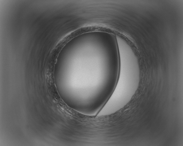 X0000081460872200701121039