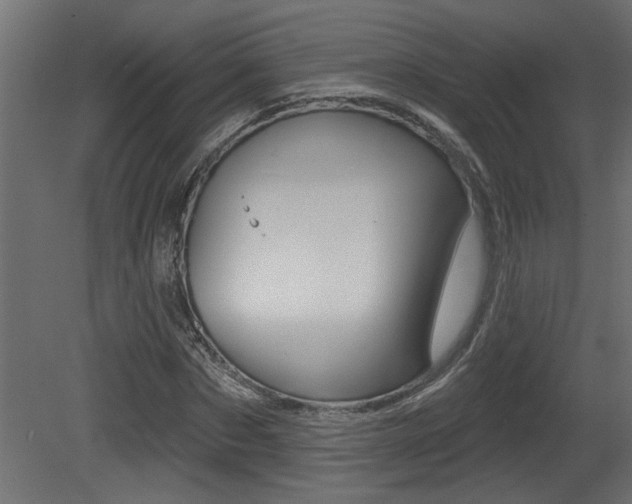 X0000081460873200701121039