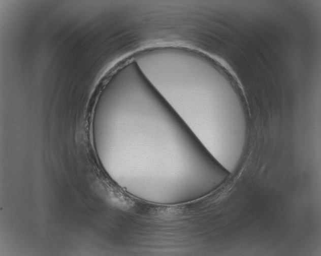 X0000081460879200701121038