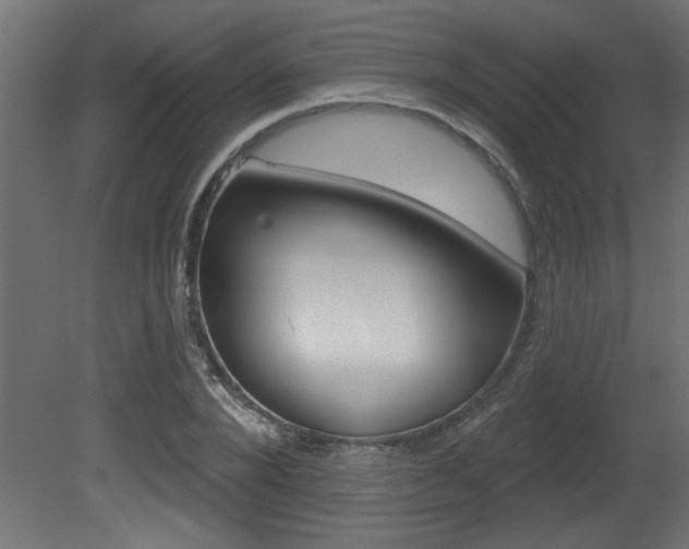 X0000081460880200701121038