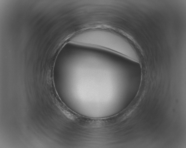 X0000081460881200701121038