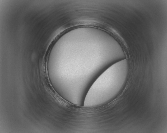 X0000081460883200701121038
