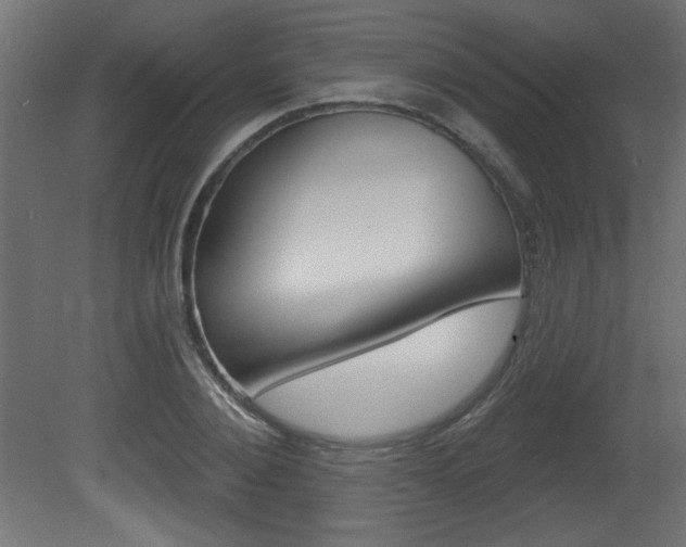 X0000081460884200701121038