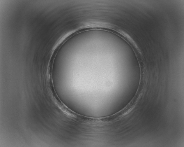 X0000081460885200701121038