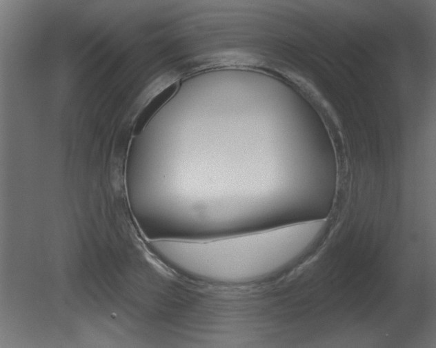 X0000081460889200701121038