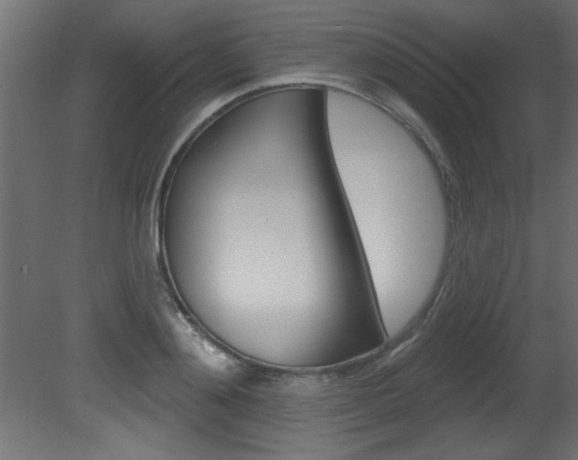 X0000081460892200701121038