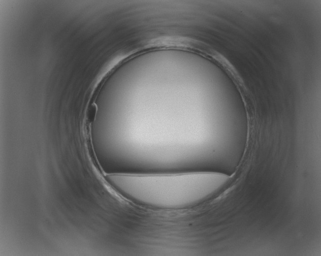 X0000081460893200701121038