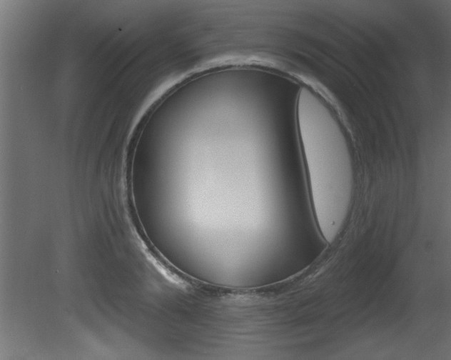 X0000081460894200701121038