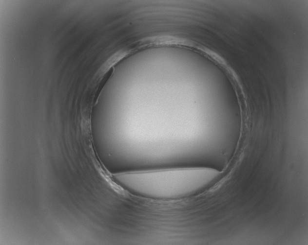 X0000081460897200701121038