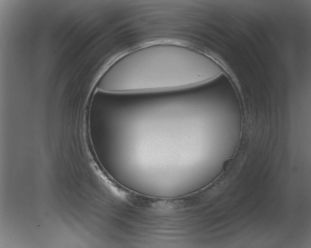 X0000081460898200701121038