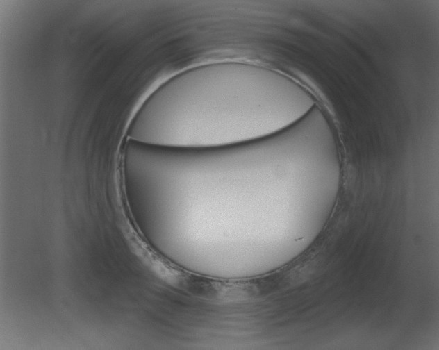 X0000081460899200701121038