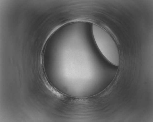 X0000081460900200701121038