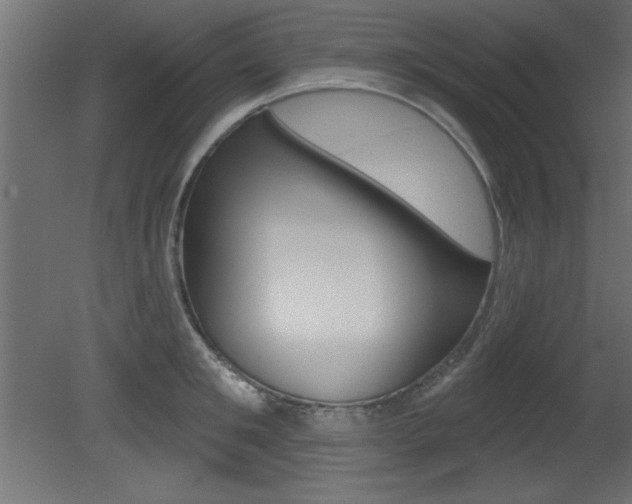 X0000081460901200701121038