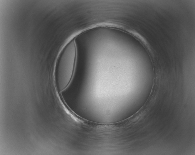 X0000081460902200701121038