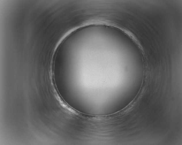 X0000081460904200701121038