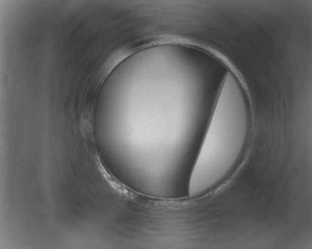 X0000081460905200701121038