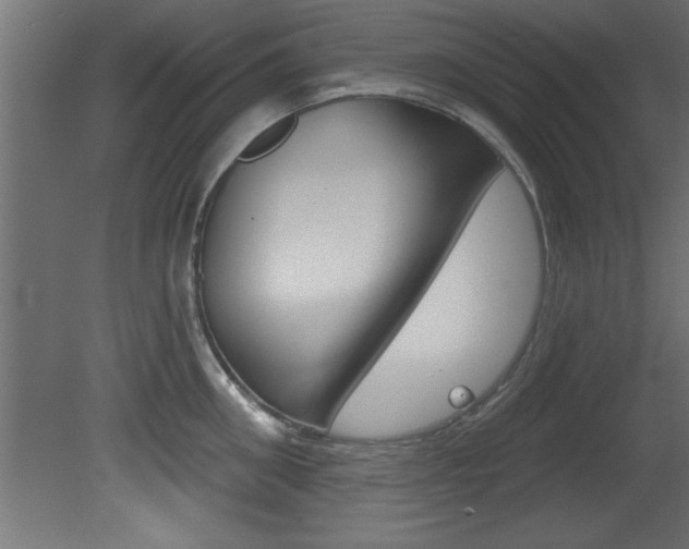 X0000081460906200701121038