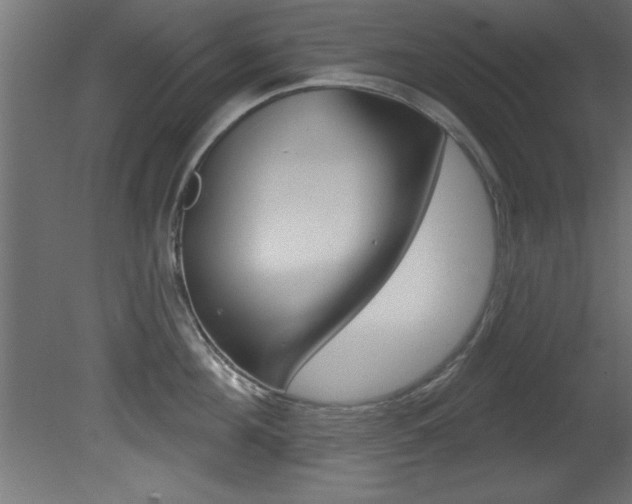 X0000081460908200701121038