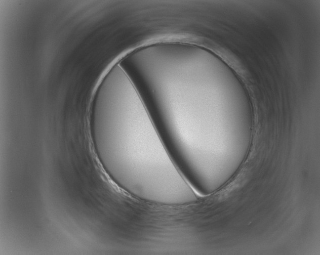 X0000081460912200701121038