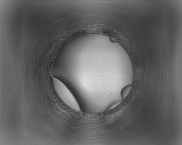 X0000081460913200701121037