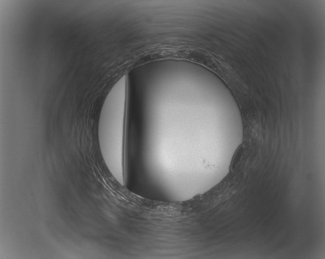X0000081460914200701121037