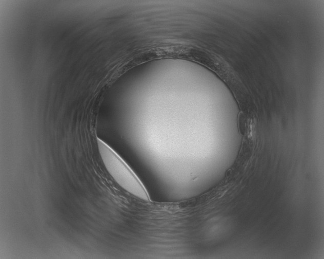 X0000081460915200701121037