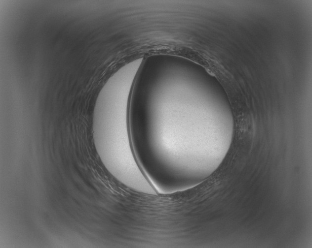 X0000081460916200701121037