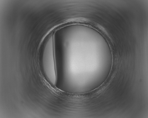 X0000081460923200701121037