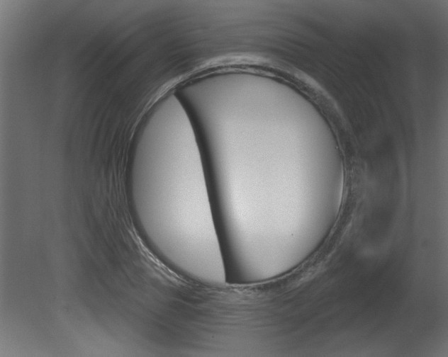 X0000081460929200701121037