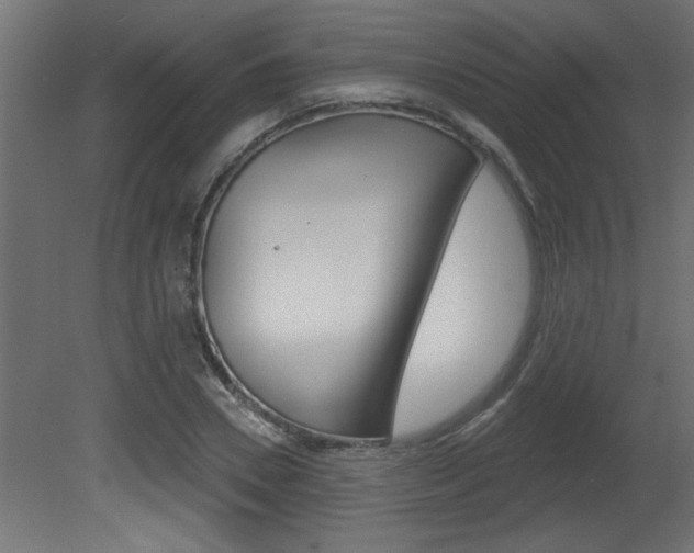 X0000081460930200701121037