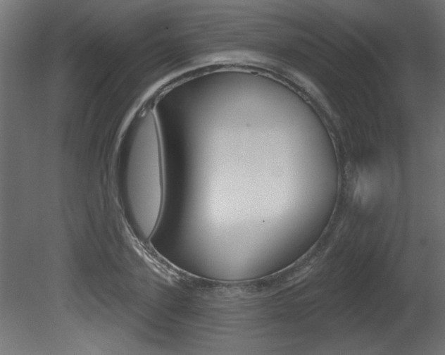 X0000081460931200701121037