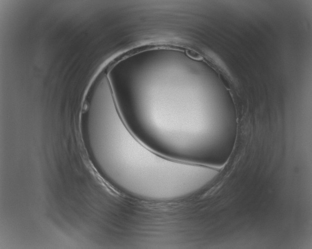 X0000081460932200701121037