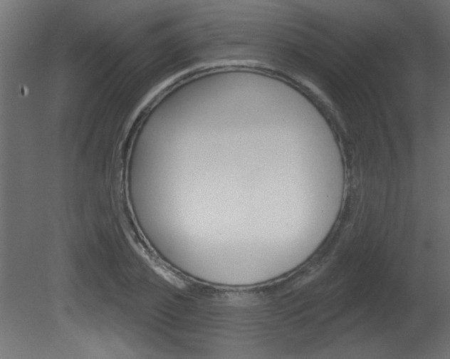 X0000081460933200701121037