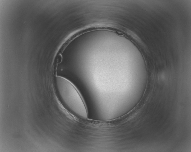 X0000081460934200701121037