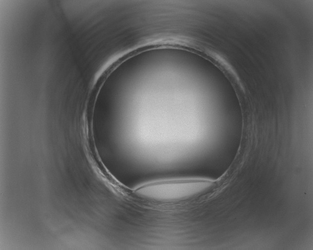 X0000081460936200701121037