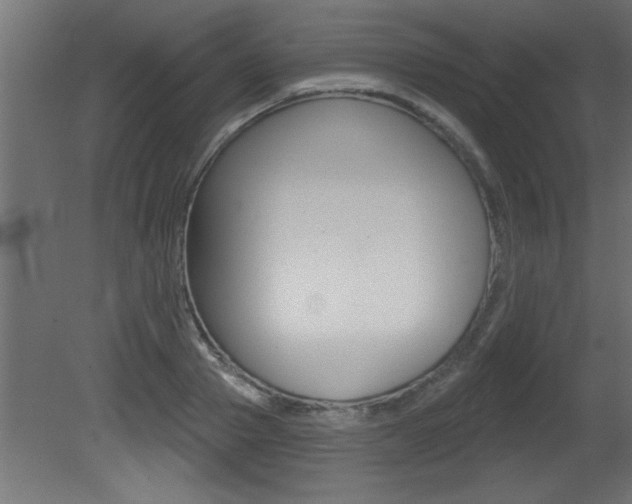 X0000081460937200701121037
