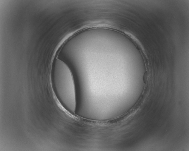 X0000081460941200701121038