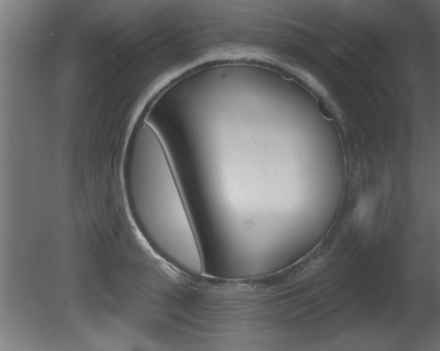 X0000081460943200701121038