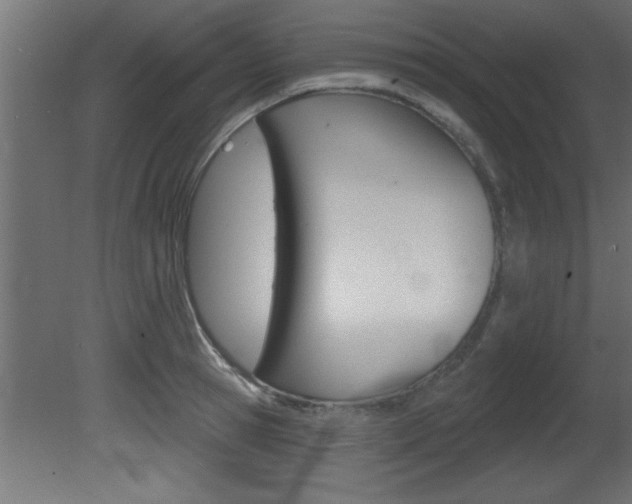 X0000081460945200701121038