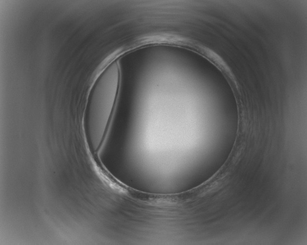 X0000081460946200701121038
