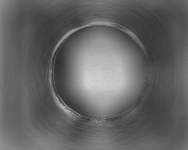 X0000081460955200701121038