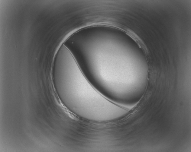 X0000081460956200701121038