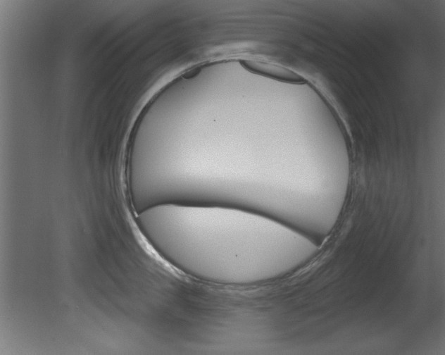 X0000081460957200701121038
