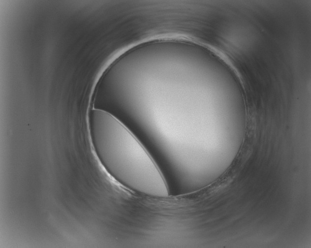 X0000081460959200701121038