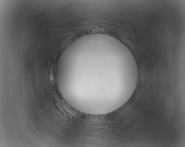 X0000081460962200701121037