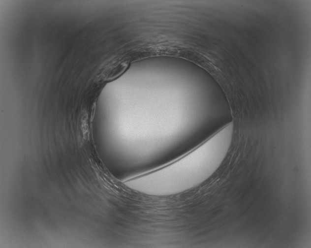 X0000081460963200701121037