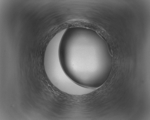 X0000081460965200701121037